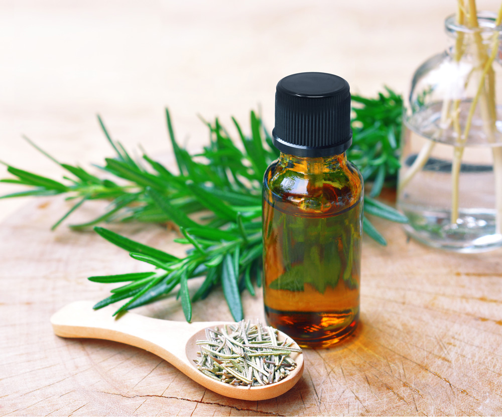 Rosemary Oil with fresh and dried Rosemary